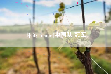 德州中国队 冠军