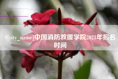 德州中国消防救援学院2021年报名时间