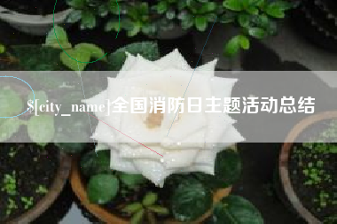 德州全国消防日主题活动总结