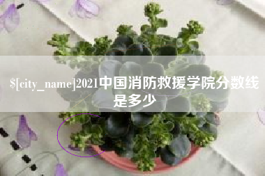 德州2021中国消防救援学院分数线是多少