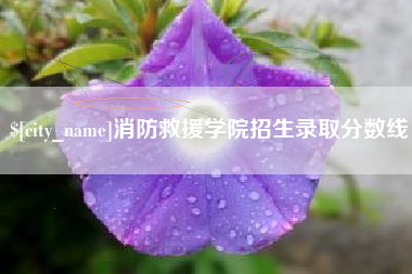 德州消防救援学院招生录取分数线