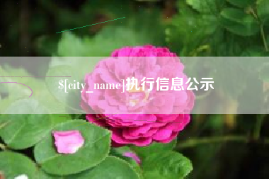 德州执行信息公示