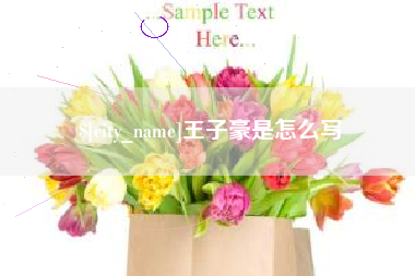 德州王子豪是怎么写