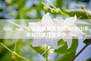 德州中国消防救援学院2021年山东录取分数线是多少