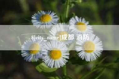 德州成都 消防