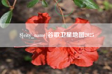 德州谷歌卫星地图2025