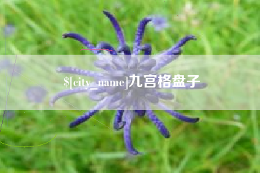 德州九宫格盘子
