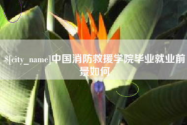德州中国消防救援学院毕业就业前景如何