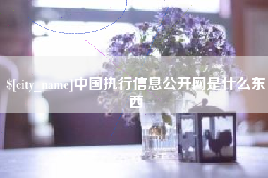德州中国执行信息公开网是什么东西