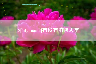德州有没有消防大学
