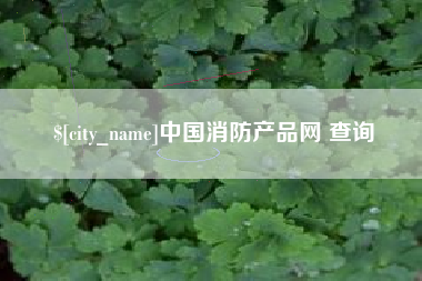 德州中国消防产品网 查询