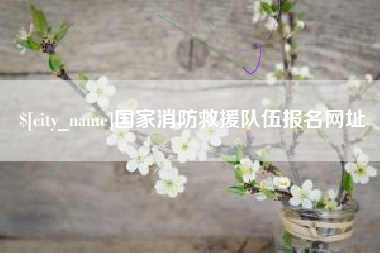 德州国家消防救援队伍报名网址