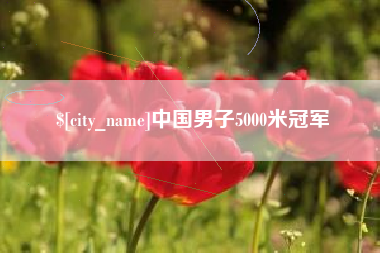 德州中国男子5000米冠军