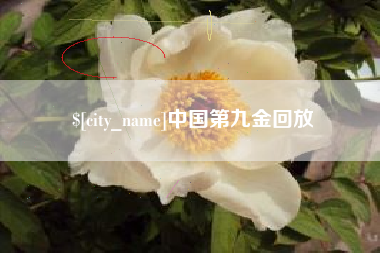 德州中国第九金回放