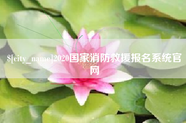 德州2020国家消防救援报名系统官网