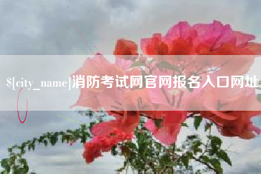 德州消防考试网官网报名入口网址