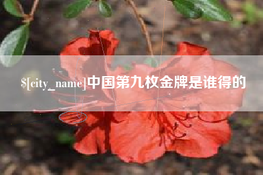 德州中国第九枚金牌是谁得的