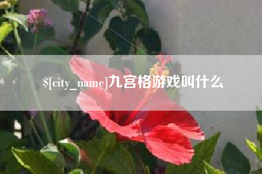 德州九宫格游戏叫什么