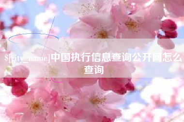 德州中国执行信息查询公开网怎么查询