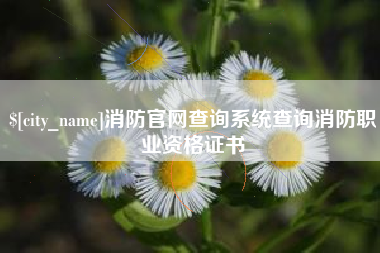 德州消防官网查询系统查询消防职业资格证书