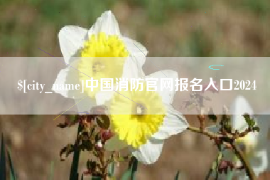 德州中国消防官网报名入口2024