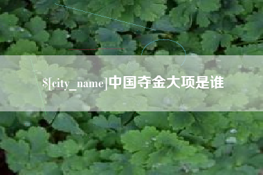 德州中国夺金大项是谁