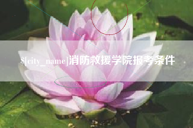 德州消防救援学院报考条件
