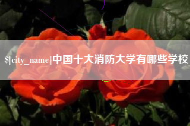 德州中国十大消防大学有哪些学校