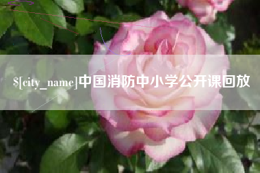 德州中国消防中小学公开课回放