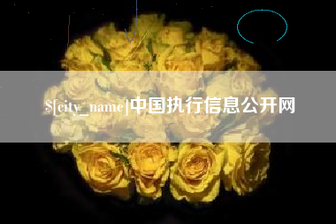德州中国执行信息公开网