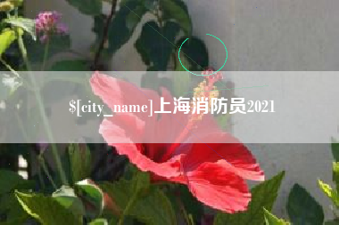 德州上海消防员2021