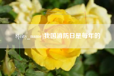 德州我国消防日是每年的