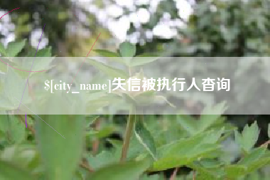 德州失信被执行人杳询