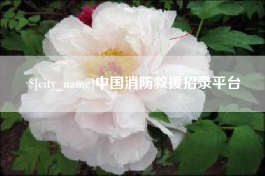 德州中国消防救援招录平台