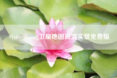 德州卫星地图高清实景免费版