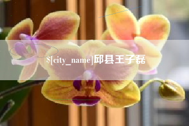 德州邱县王子磊