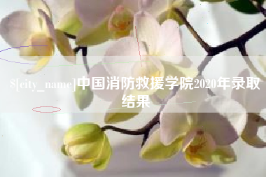 德州中国消防救援学院2020年录取结果