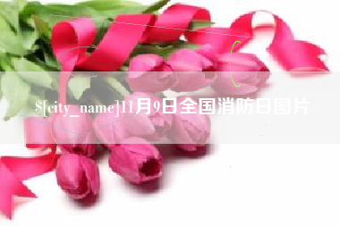 德州11月9日全国消防日图片