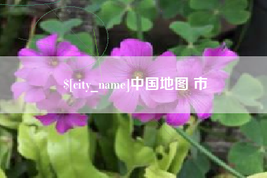 德州中国地图 市