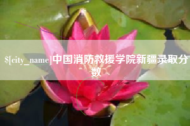 德州中国消防救援学院新疆录取分数
