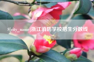 德州浙江消防学校招生分数线
