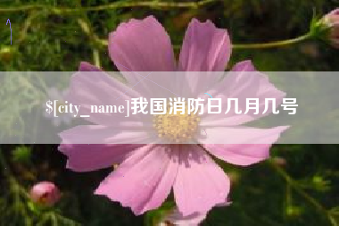 德州我国消防日几月几号