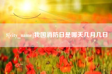 德州我国消防日是哪天几月几日
