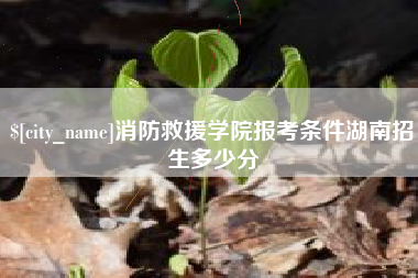 德州消防救援学院报考条件湖南招生多少分