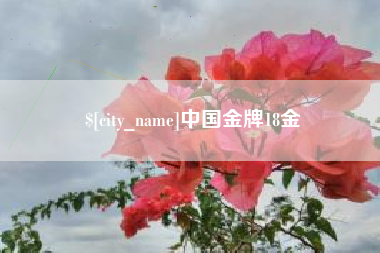 德州中国金牌18金