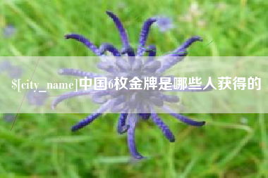 德州中国6枚金牌是哪些人获得的