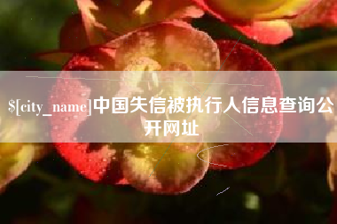 德州中国失信被执行人信息查询公开网址
