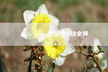 德州奥运会39块金牌