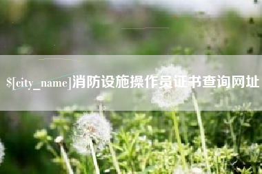 德州消防设施操作员证书查询网址