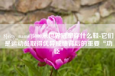 德州5000米世界冠军穿什么鞋-它们是运动员取得优异成绩背后的重要“功臣”